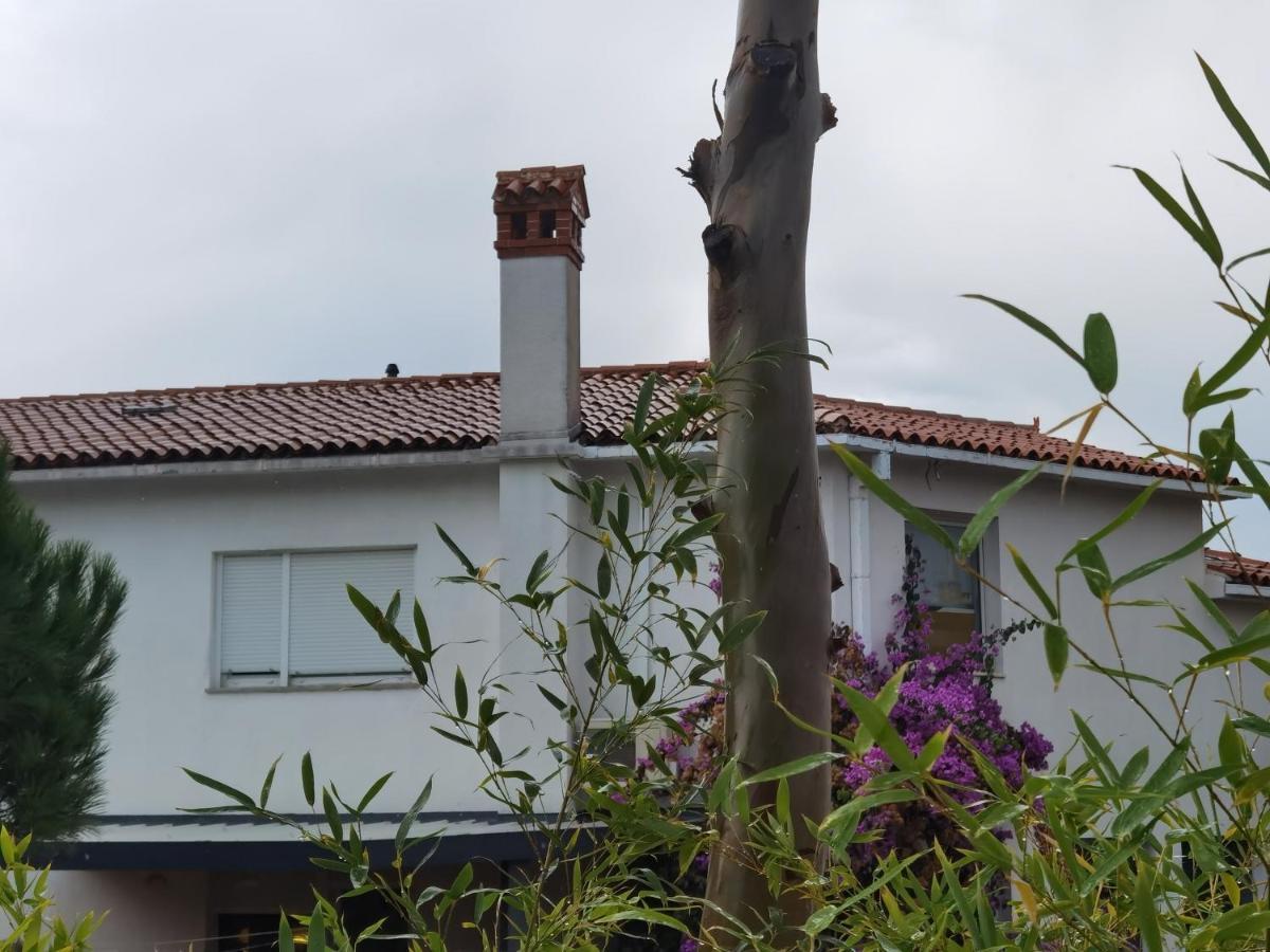 Pine And Lime Apartments พูลา ภายนอก รูปภาพ