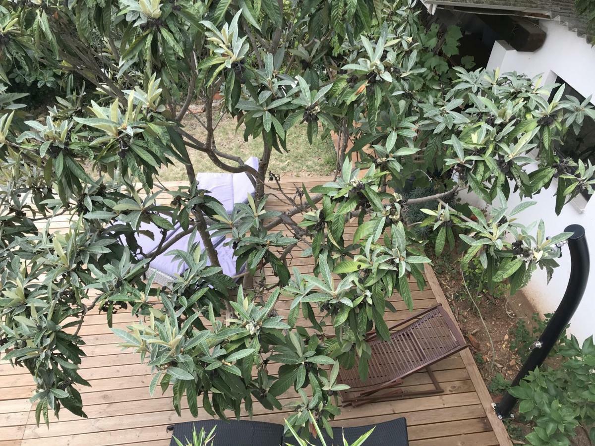 Pine And Lime Apartments พูลา ภายนอก รูปภาพ